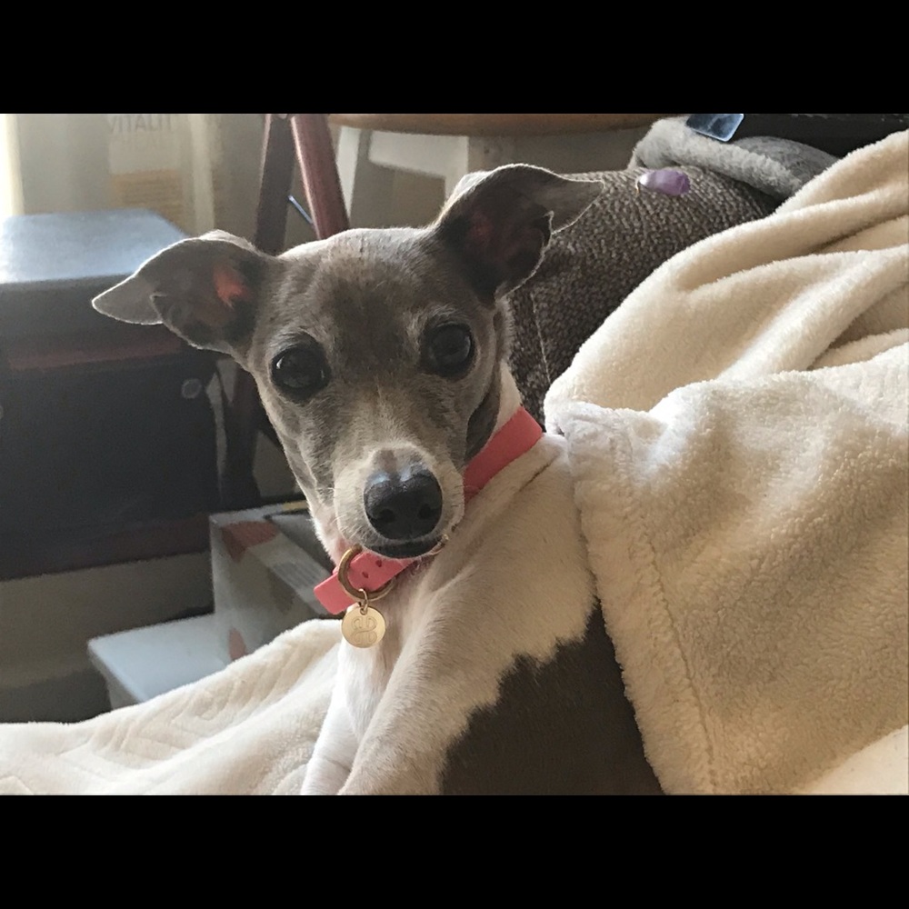 Meet your Posher, Andrea